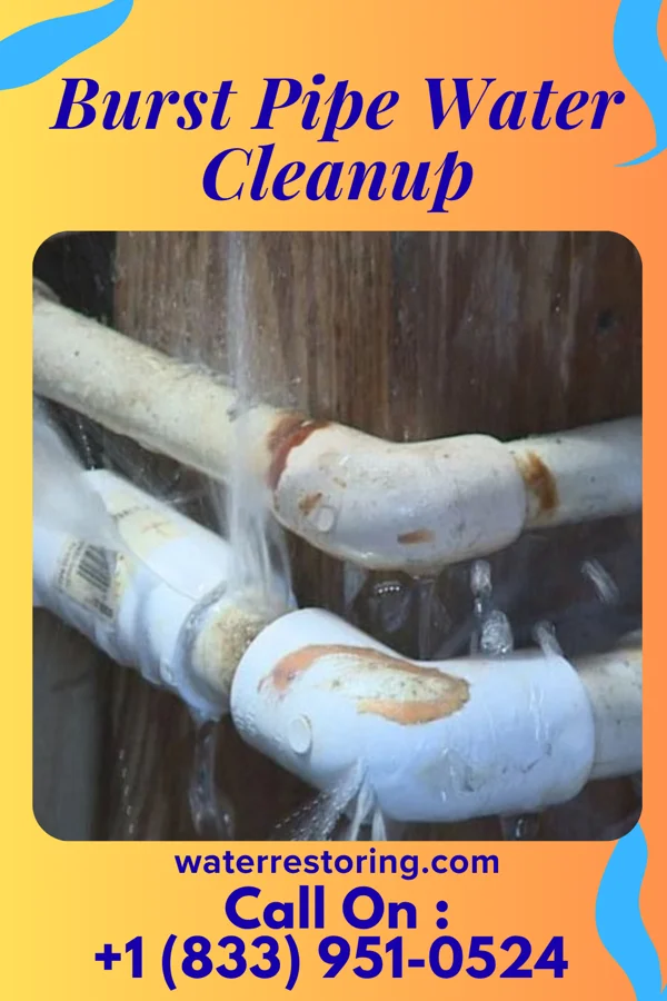 Burst Pipe Water Cleanup in Kipton, OH