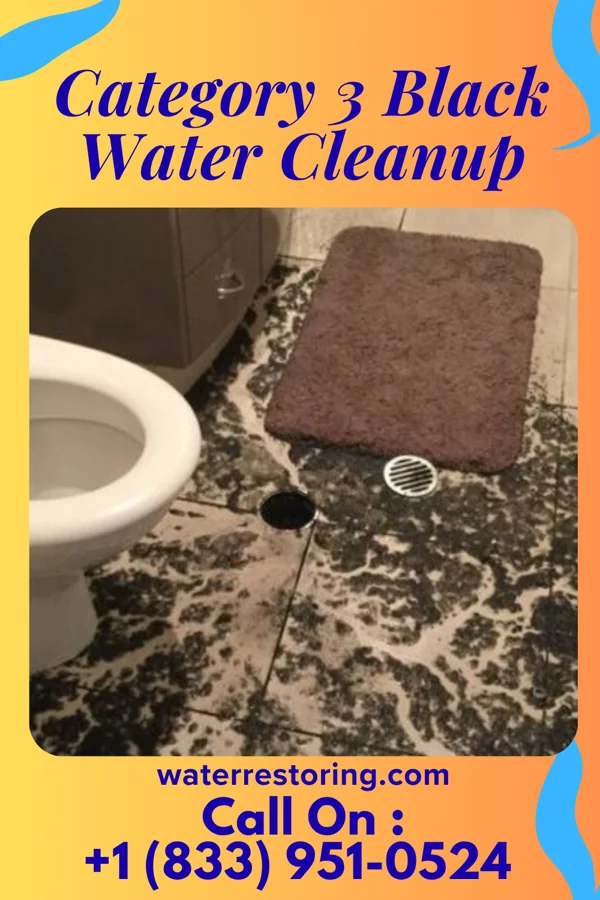 Category 3 Black Water Cleanup in Kipton, OH